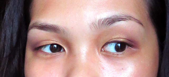 holiday - plum - eyes