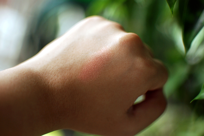 Addiction Cheek Stick - African Sunset - Swatch 1