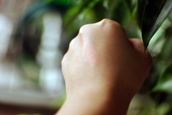 Addiction Cheek Stick - African Sunset - Swatch 2