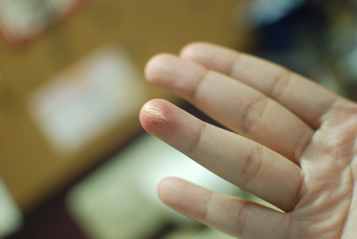 Wet n Wild - Eyeshadow - Nutty Swatch