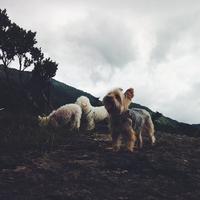 10326509_642340649181590_1753765003_n