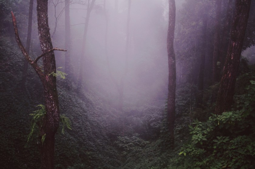 Processed with VSCOcam with 10 preset